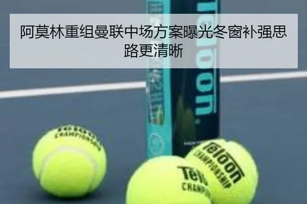 阿莫林重组曼联中场方案曝光冬窗补强思路更清晰